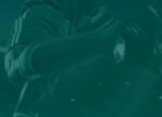 Hit the Big Leagues with VIP Program at Ivibet Sportsbook