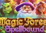Magic Forest: Spellbound Slot Bonus at Everygame Casino — “Double the Magic, Double the Wins”