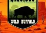 Survive the Stampede in the Wild Buffalo Giveaway at Everygame Casino