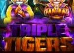 Unleash the Beast with the Triple Tigers Slot Bonus at Everygame Casino